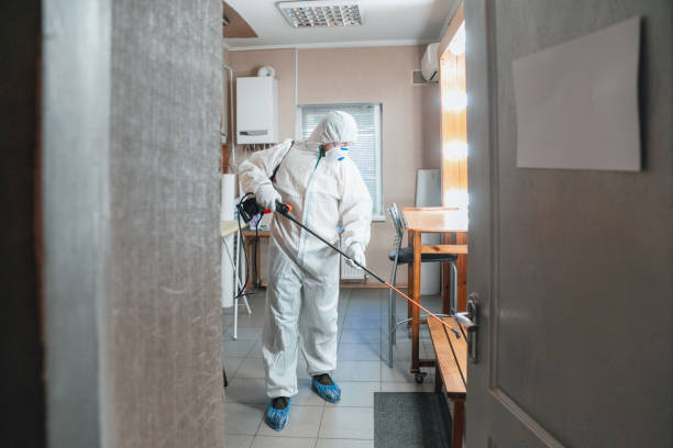 Trusted Wendell, NC Mold Removal Experts